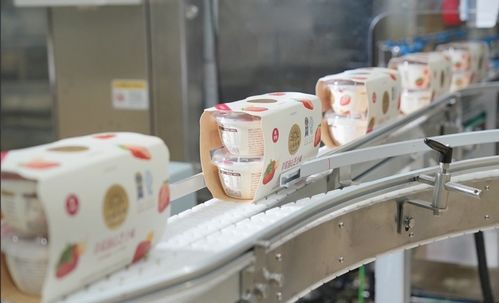 北海牧场首席运营官王悦霖 公司已入驻超1万家便利店，深耕一二线市场与创新渠道并进